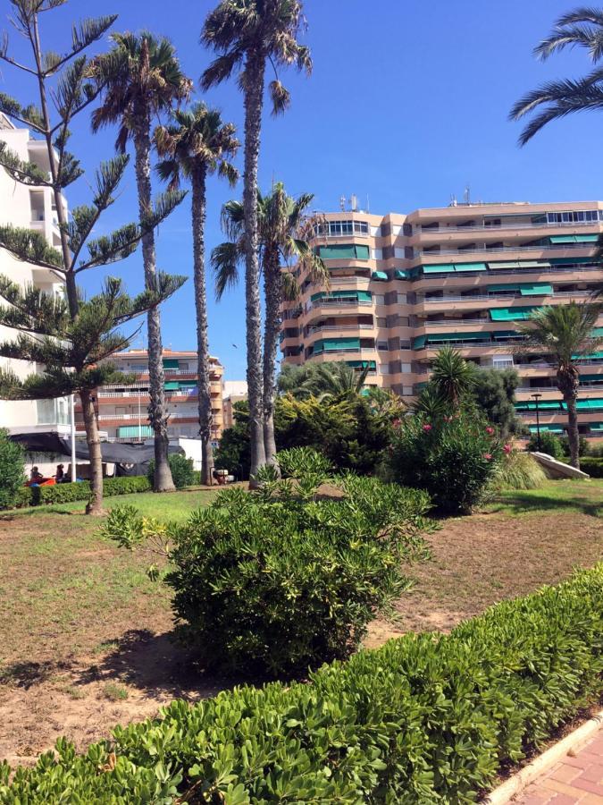 Apartmento Hana Con Terraza - Despues De La Renovacion General La Mata  Bagian luar foto